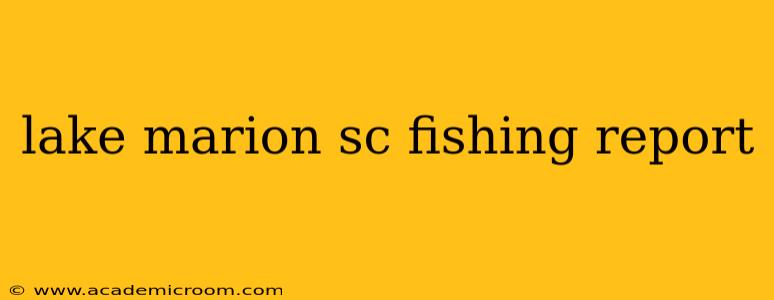 lake marion sc fishing report