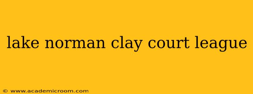 lake norman clay court league
