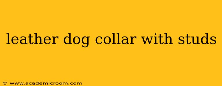 leather dog collar with studs