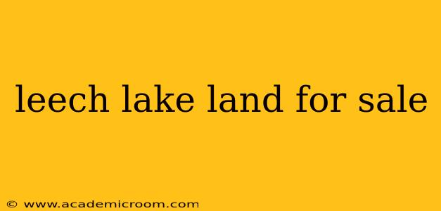 leech lake land for sale