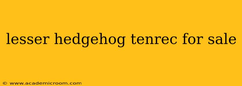 lesser hedgehog tenrec for sale