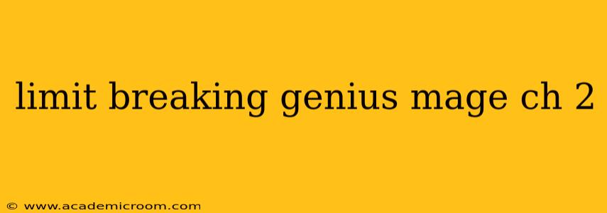 limit breaking genius mage ch 2
