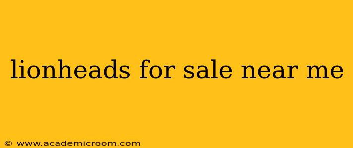 lionheads for sale near me