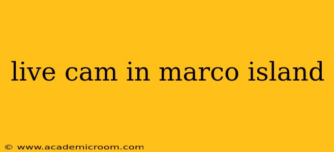 live cam in marco island