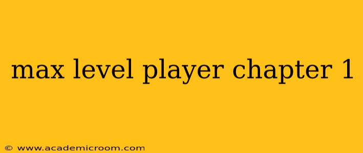 max level player chapter 1
