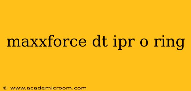 maxxforce dt ipr o ring