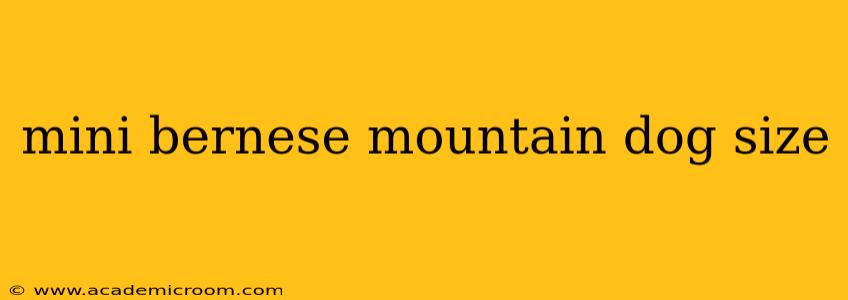 mini bernese mountain dog size