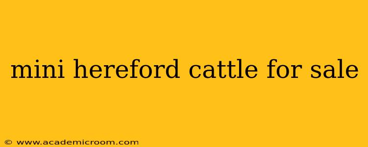 mini hereford cattle for sale