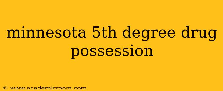 minnesota 5th degree drug possession