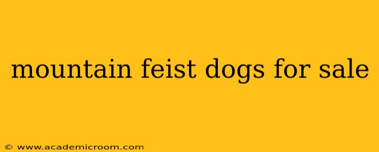 mountain feist dogs for sale
