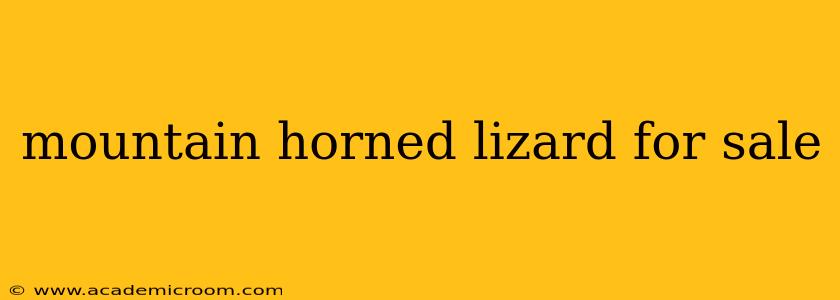 mountain horned lizard for sale