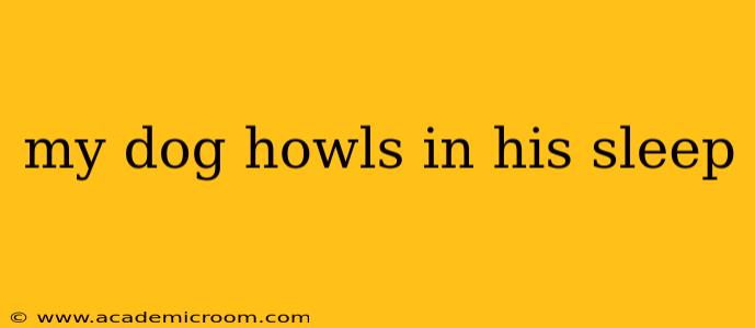 my dog howls in his sleep