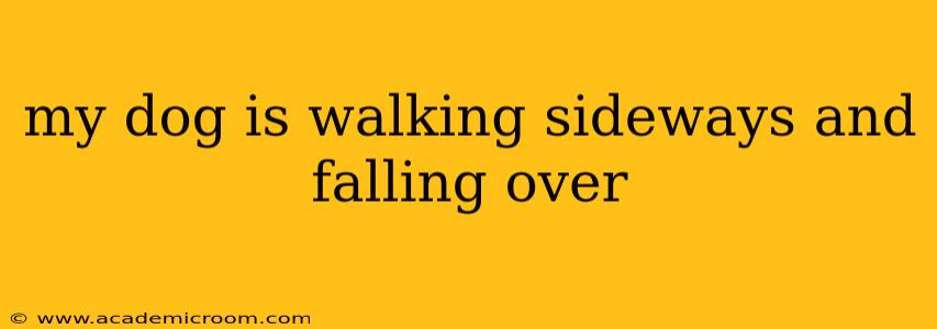 my dog is walking sideways and falling over