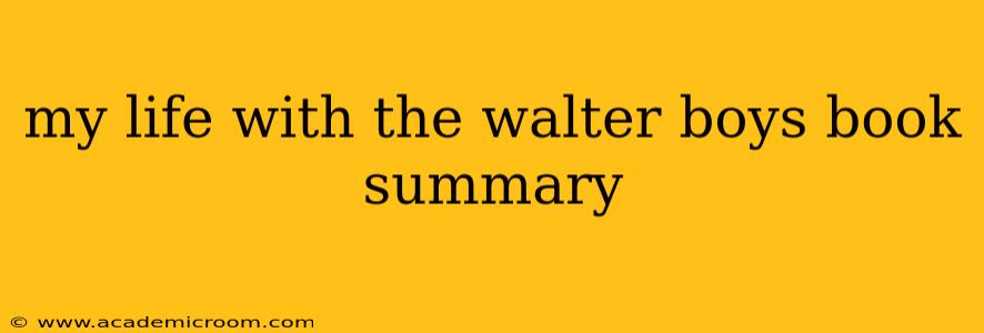 my life with the walter boys book summary