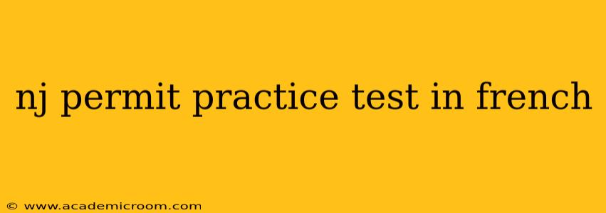 nj permit practice test in french