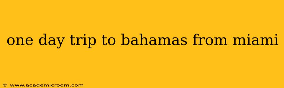 one day trip to bahamas from miami