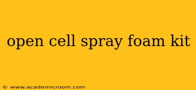 open cell spray foam kit