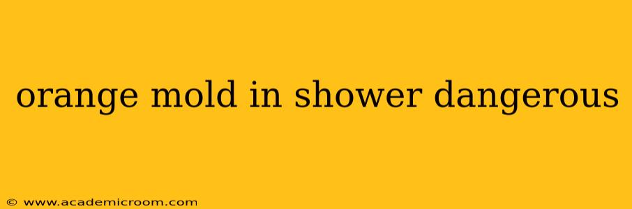 orange mold in shower dangerous