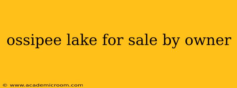ossipee lake for sale by owner