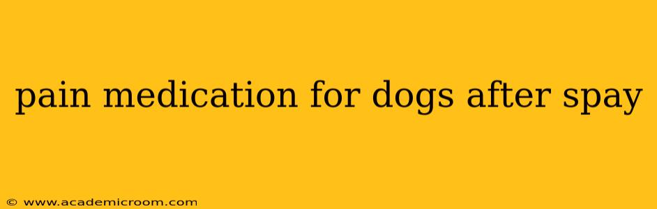 pain medication for dogs after spay