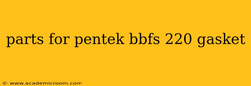 parts for pentek bbfs 220 gasket