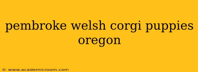 pembroke welsh corgi puppies oregon