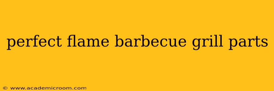 perfect flame barbecue grill parts