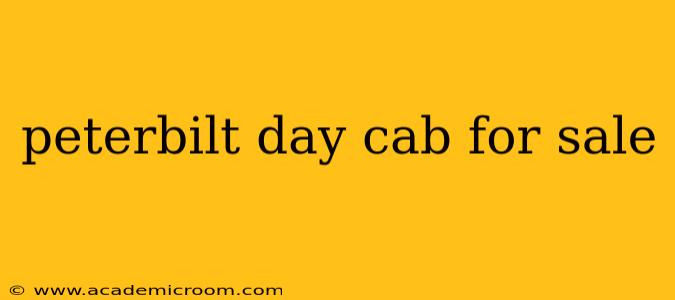 peterbilt day cab for sale