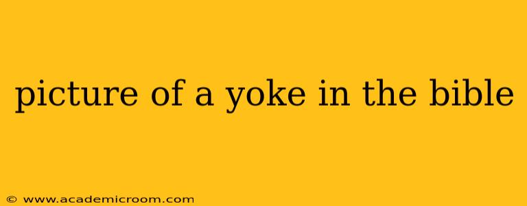 picture of a yoke in the bible