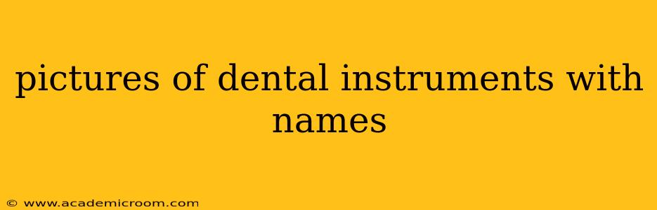 pictures of dental instruments with names