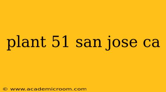 plant 51 san jose ca