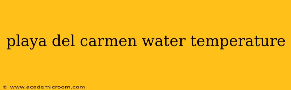 playa del carmen water temperature