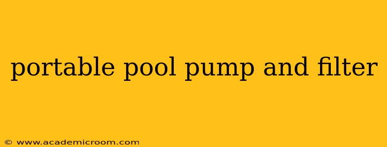 portable pool pump and filter
