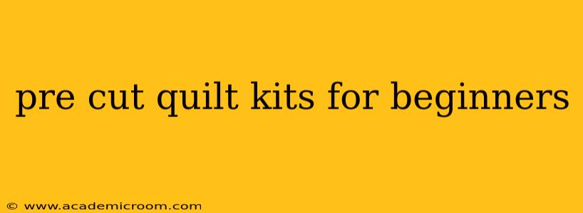 pre cut quilt kits for beginners