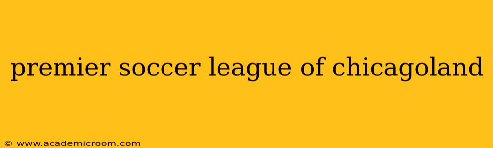 premier soccer league of chicagoland