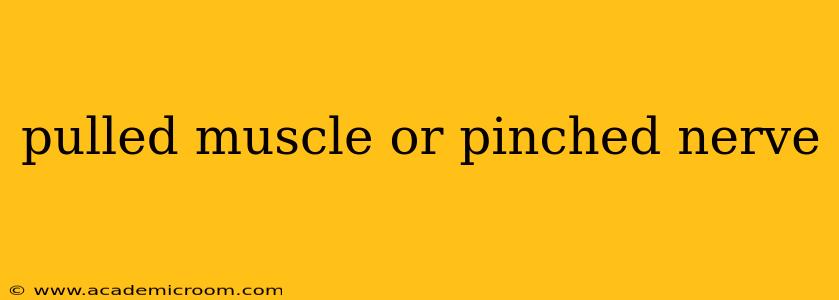 pulled muscle or pinched nerve