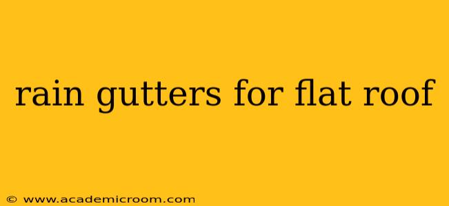 rain gutters for flat roof