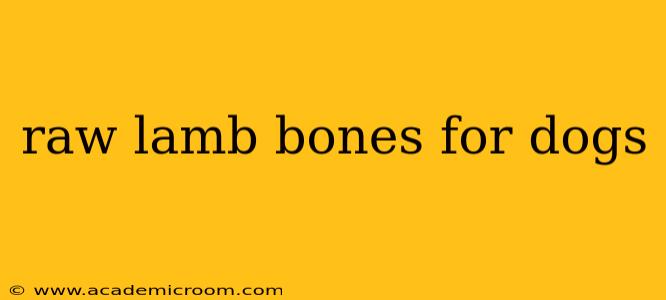 raw lamb bones for dogs