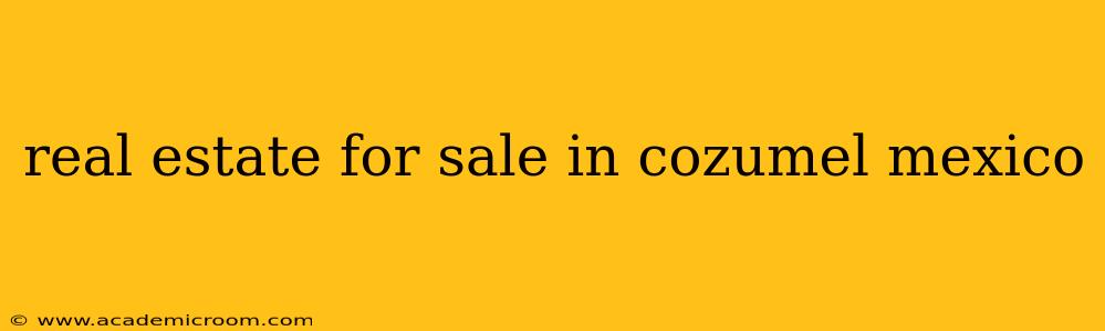 real estate for sale in cozumel mexico