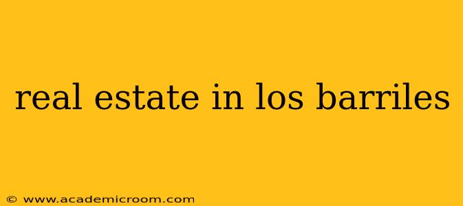 real estate in los barriles