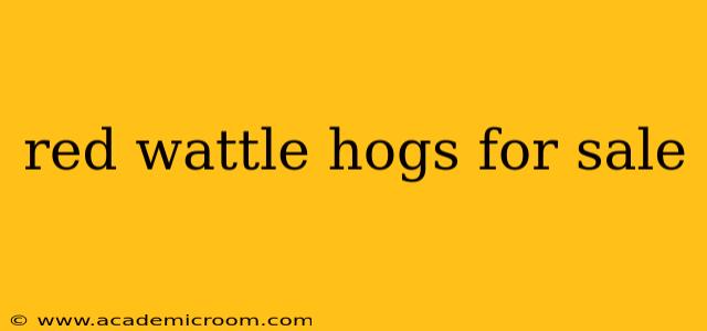 red wattle hogs for sale