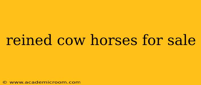 reined cow horses for sale