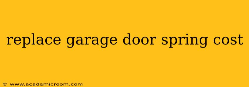replace garage door spring cost
