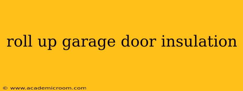 roll up garage door insulation