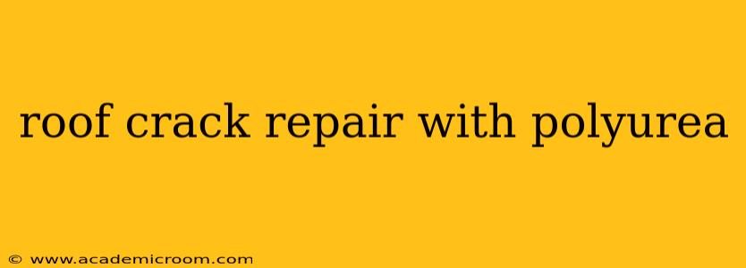 roof crack repair with polyurea