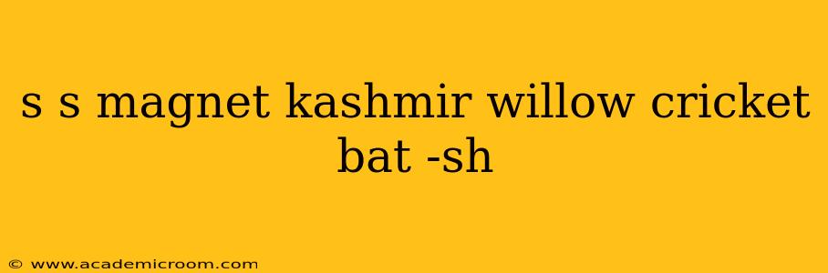 s s magnet kashmir willow cricket bat -sh