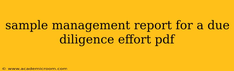 sample management report for a due diligence effort pdf