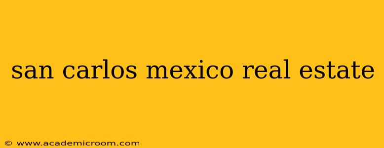 san carlos mexico real estate