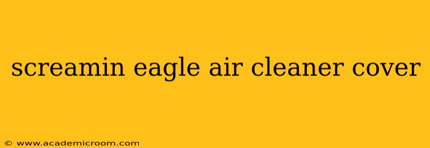 screamin eagle air cleaner cover
