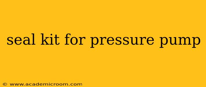 seal kit for pressure pump